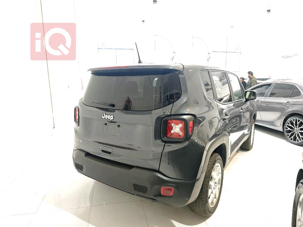 جيب رينيجيد